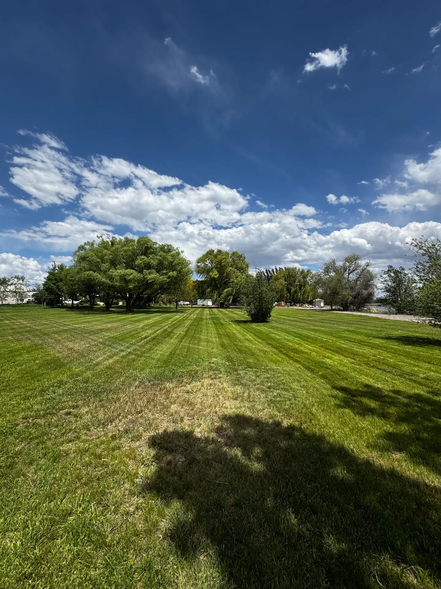 Large acreage mowed in even stripes — R & R Lawncare, Burley Idaho